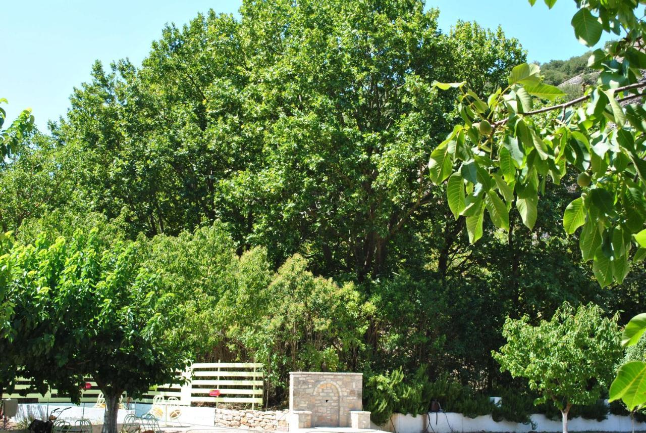 Guesthouse Eleftherios Kalavryta Buitenkant foto