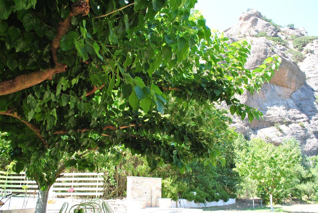 Guesthouse Eleftherios Kalavryta Buitenkant foto