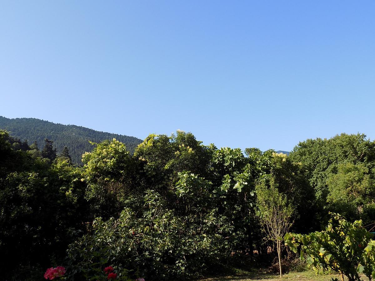 Guesthouse Eleftherios Kalavryta Buitenkant foto
