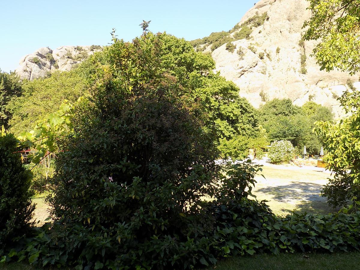 Guesthouse Eleftherios Kalavryta Buitenkant foto